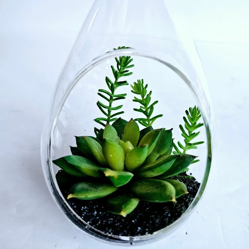 Set of 2 Glass Teardrop‎ Hanging Terrariums with Faux Succulents Home Decor